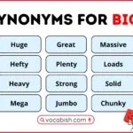 A structured academic list of over 130 advanced synonyms for the word "big" for college students and professional writers.