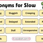 A structured academic list of 100 synonyms for the word slow with example sentences for advanced English learners.