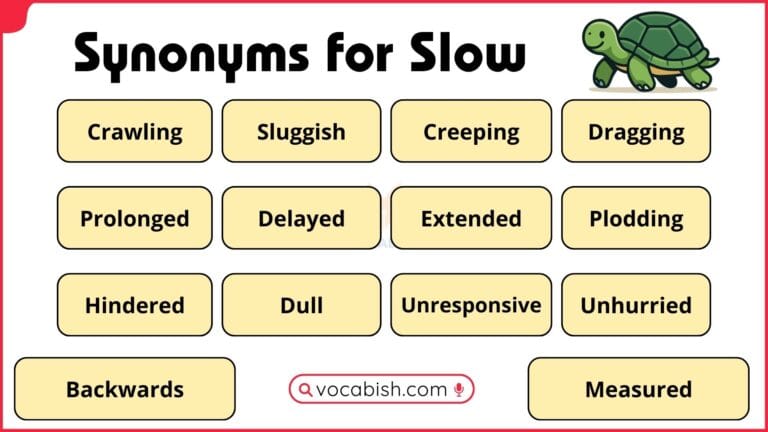 A structured academic list of 100 synonyms for the word slow with example sentences for advanced English learners.
