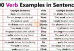 Verb Used in English Sentences