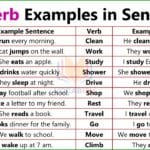 Verb Used in English Sentences