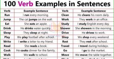 Verb Used in English Sentences