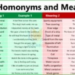 100 Homonyms and Meanings