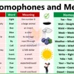 100 Homophones and Meaning