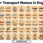 100+ Transport Names A to Z in English