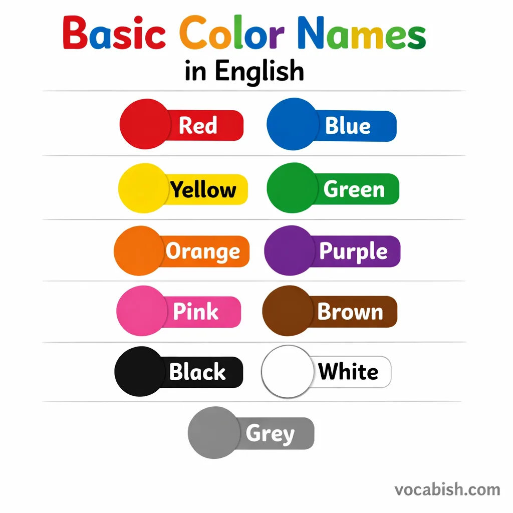 Basic Colors Name with Colors