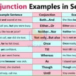 Conjunction Examples in Sentences