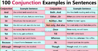 Conjunction Examples in Sentences
