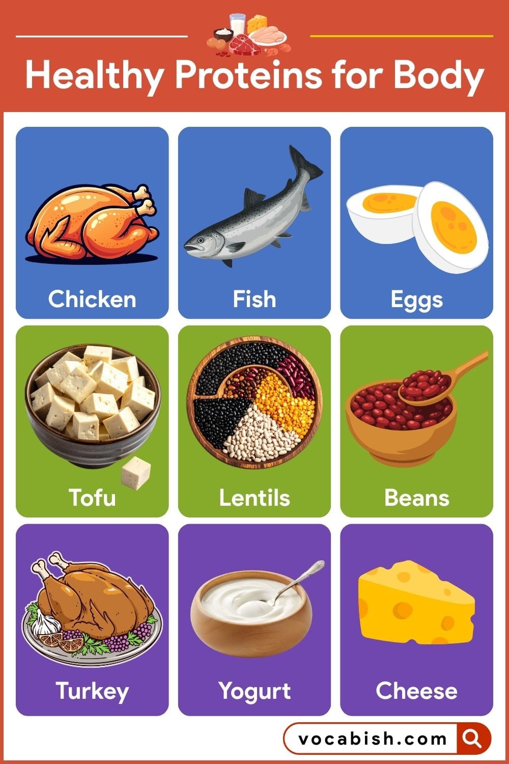 Healthy Proteins for Body Names with Pictures