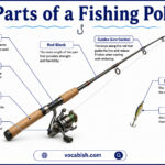 Parts of a Fishing Pole with Functions