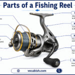 Parts of a Fishing Reel with Functions and Diagram