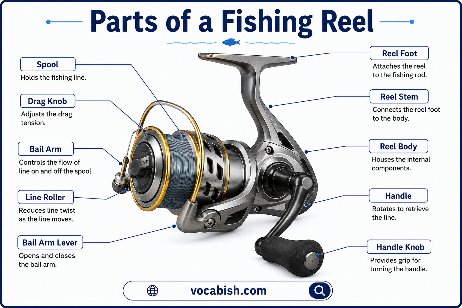 Parts of a Fishing Reel with Functions and Diagram