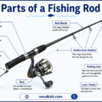 Parts of a Fishing Rod with Their Functions