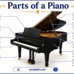 Parts of a Piano Diagram