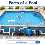 Parts of a Pool and Their Functions