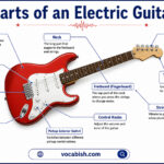 Parts of an Electric Guitar with Their Functions