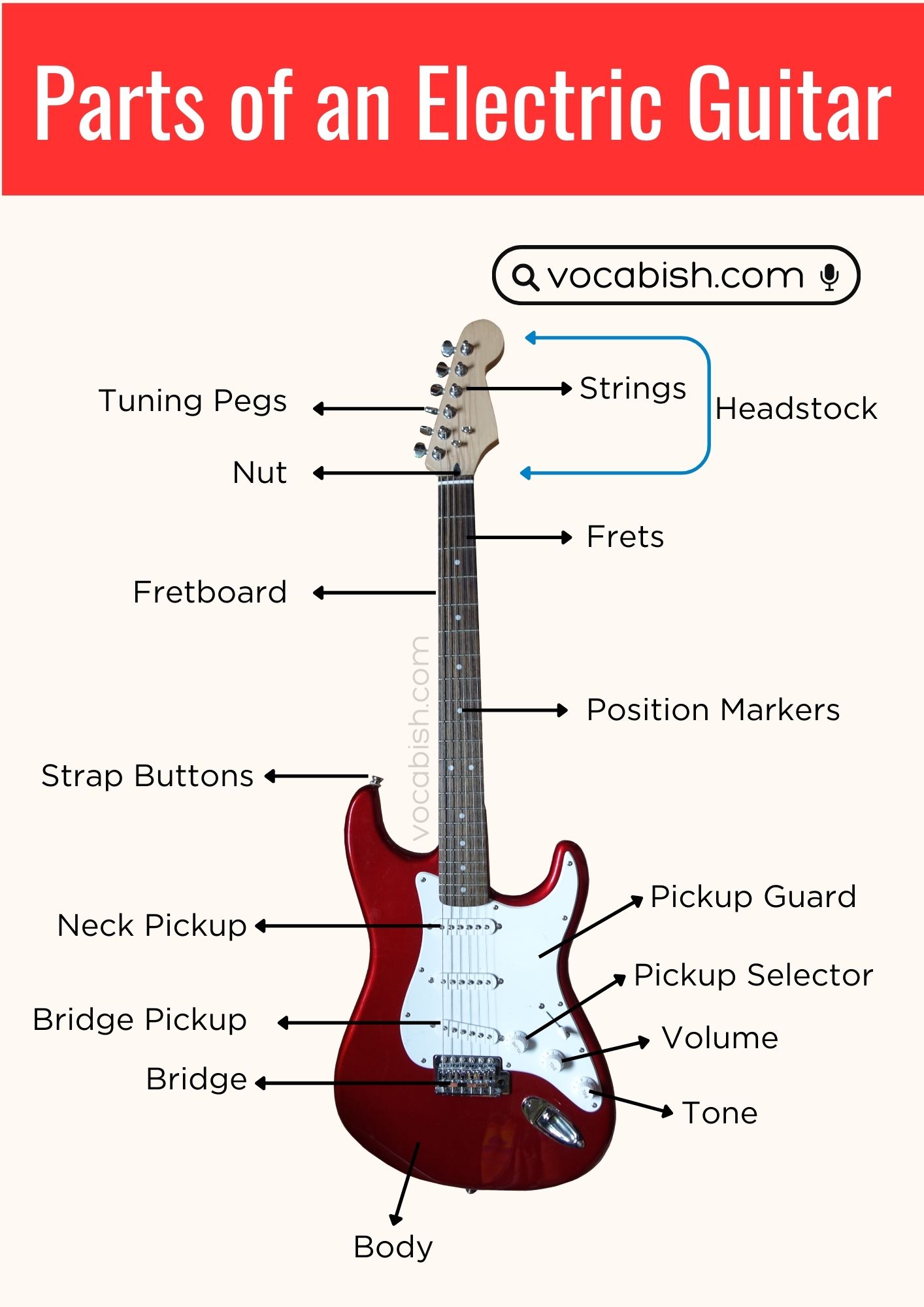 Parts of an Electric Guitar Diagram
