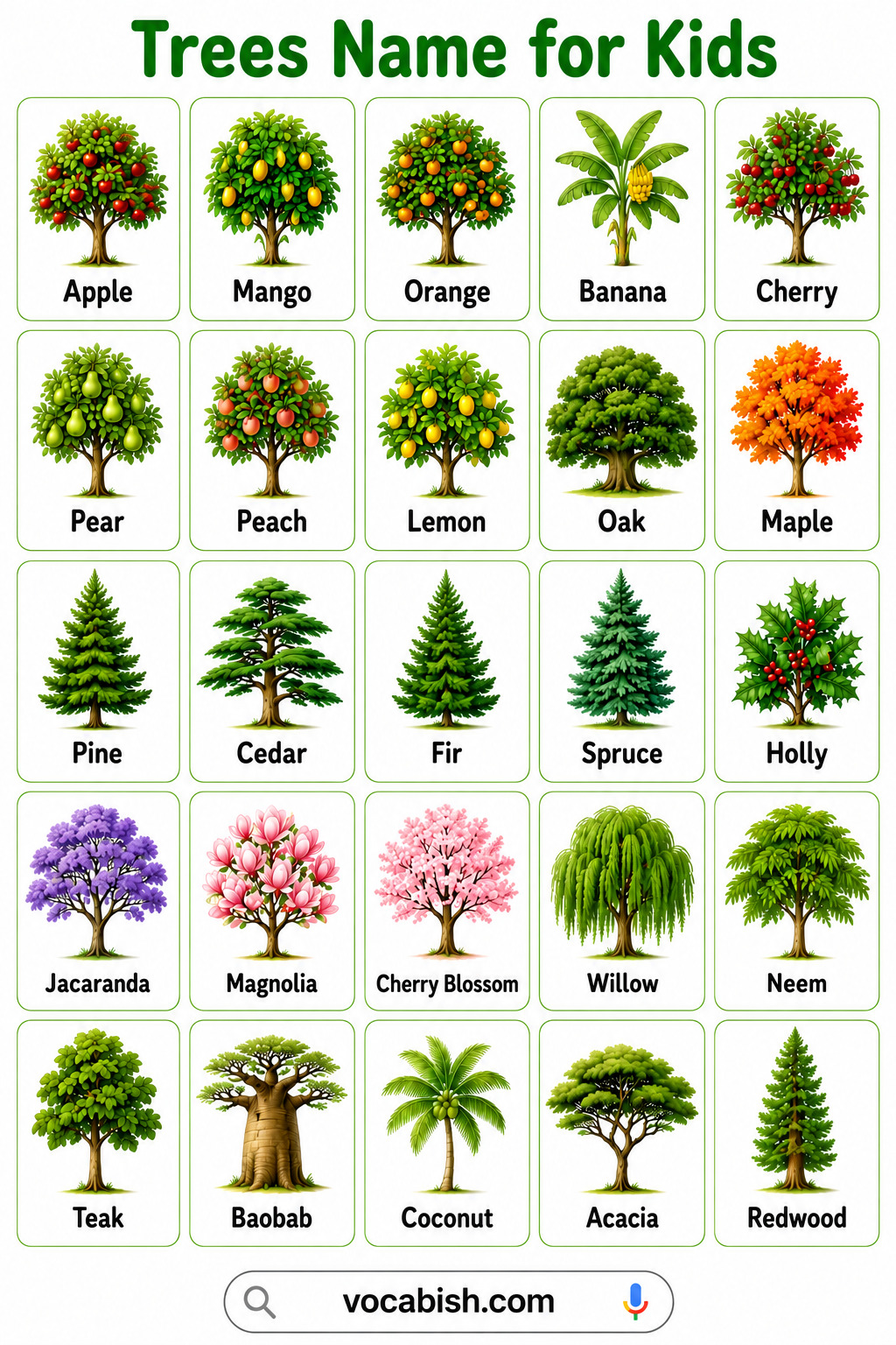 Trees Name for Kids with Pictures