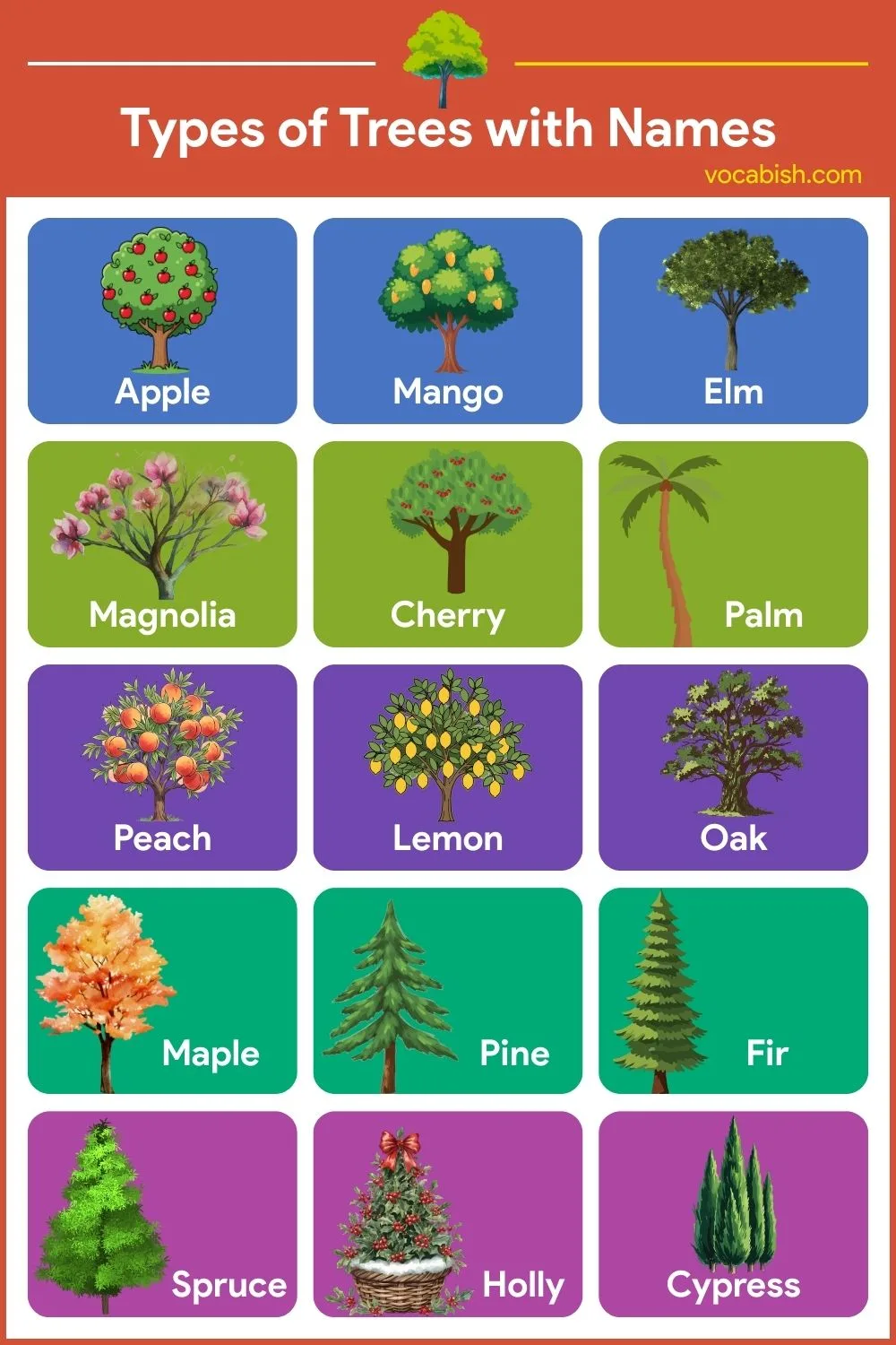 List of Trees Name with Pictures