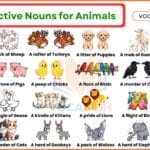 100 Collective Nouns for Animals