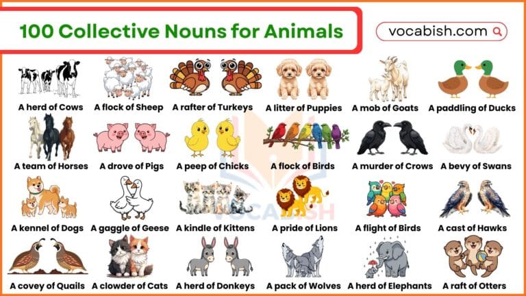 100 Collective Nouns for Animals