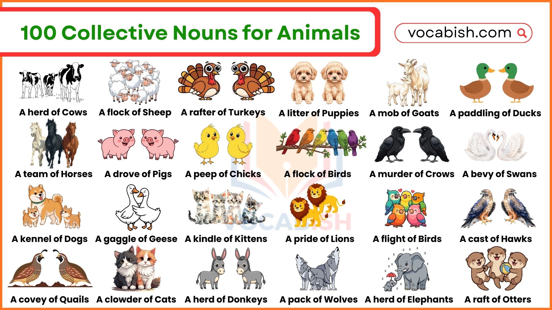 100 Collective Nouns for Animals in English with Pictures