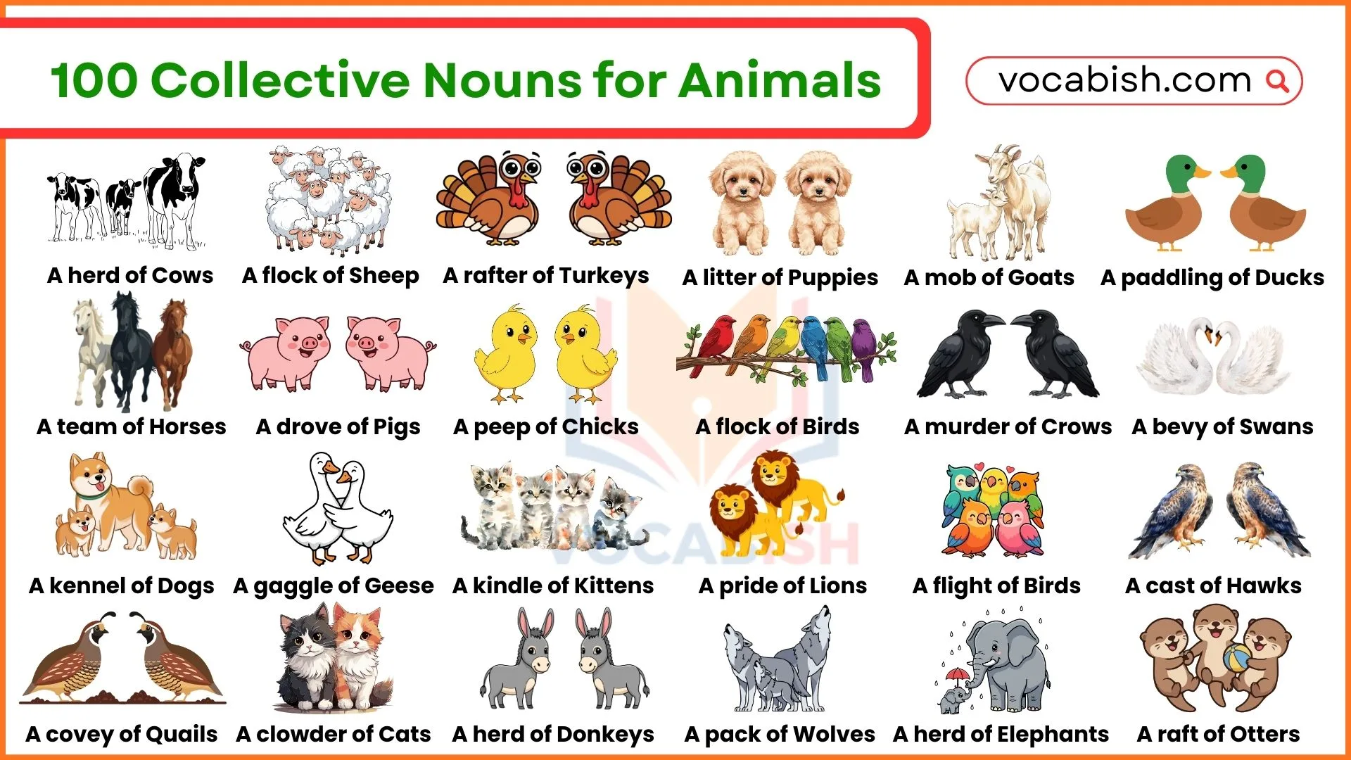 100 Collective Nouns for Animals