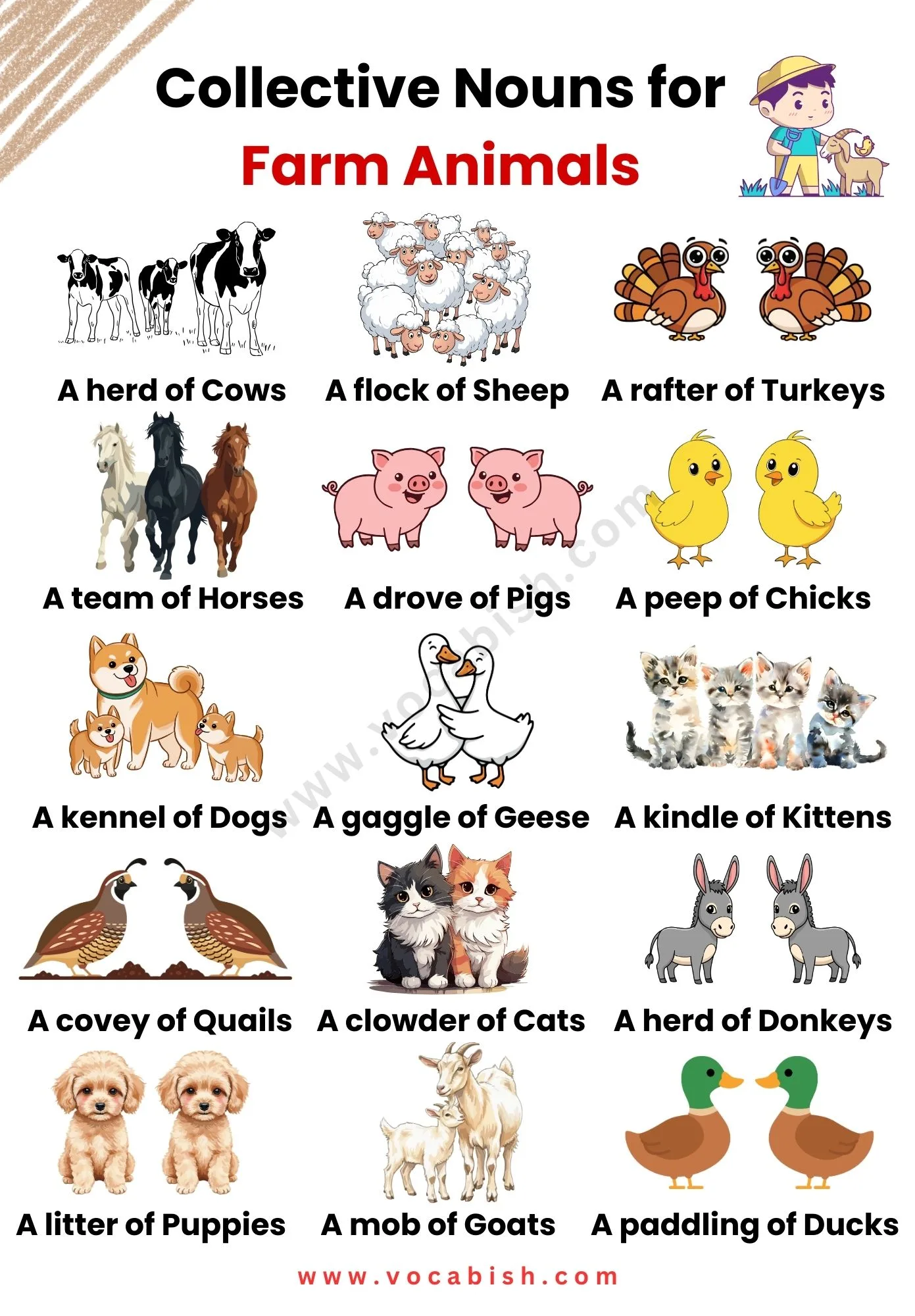 Collective Nouns for Farm Animals