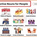 Collective Nouns for People in English