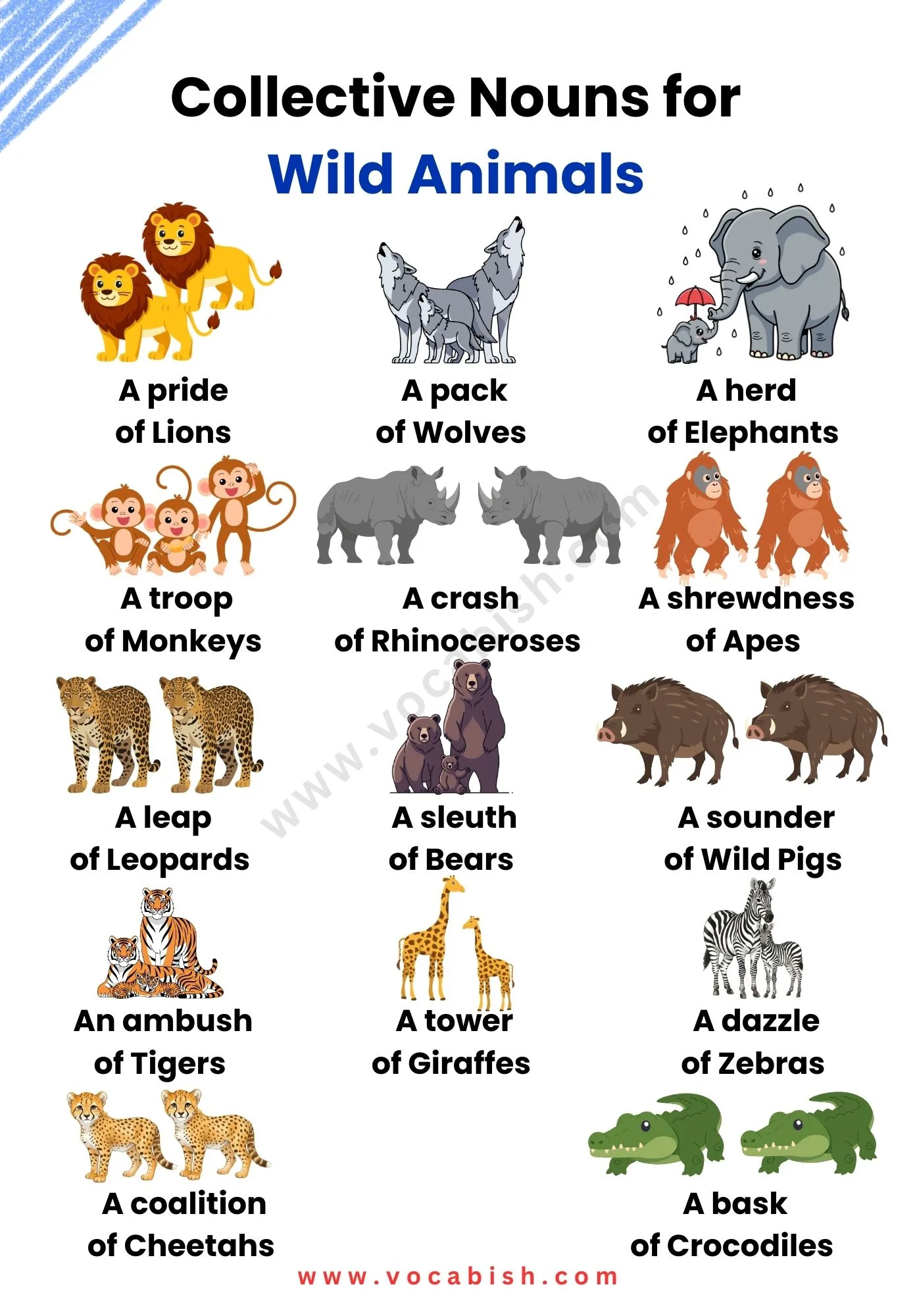 Collective Nouns for Wild Animals