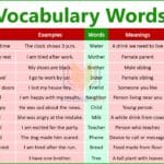 100 English Words Meanings PDF