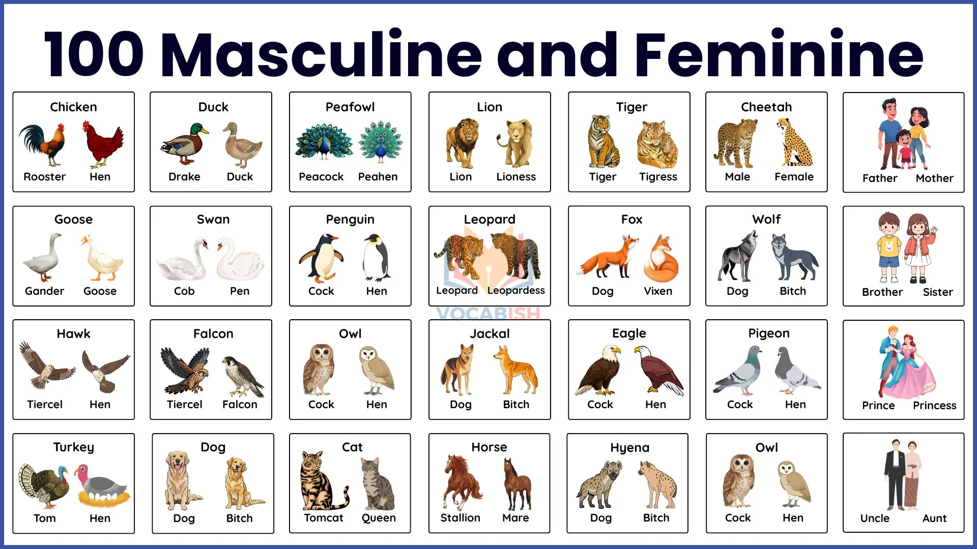 100 Examples of Masculine and Feminine Words