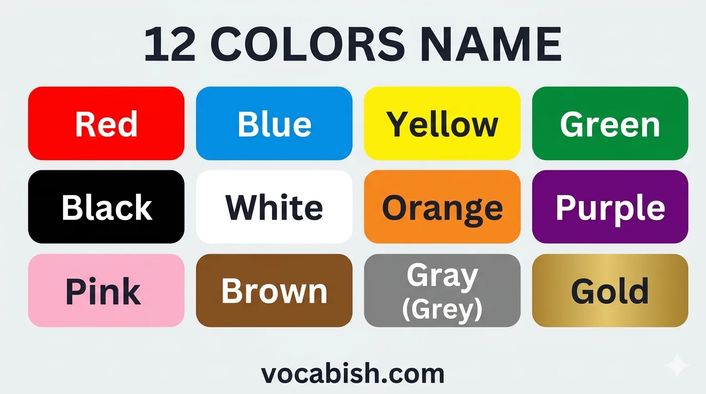 12 Colors Name: Learn Main Colors Name with Images