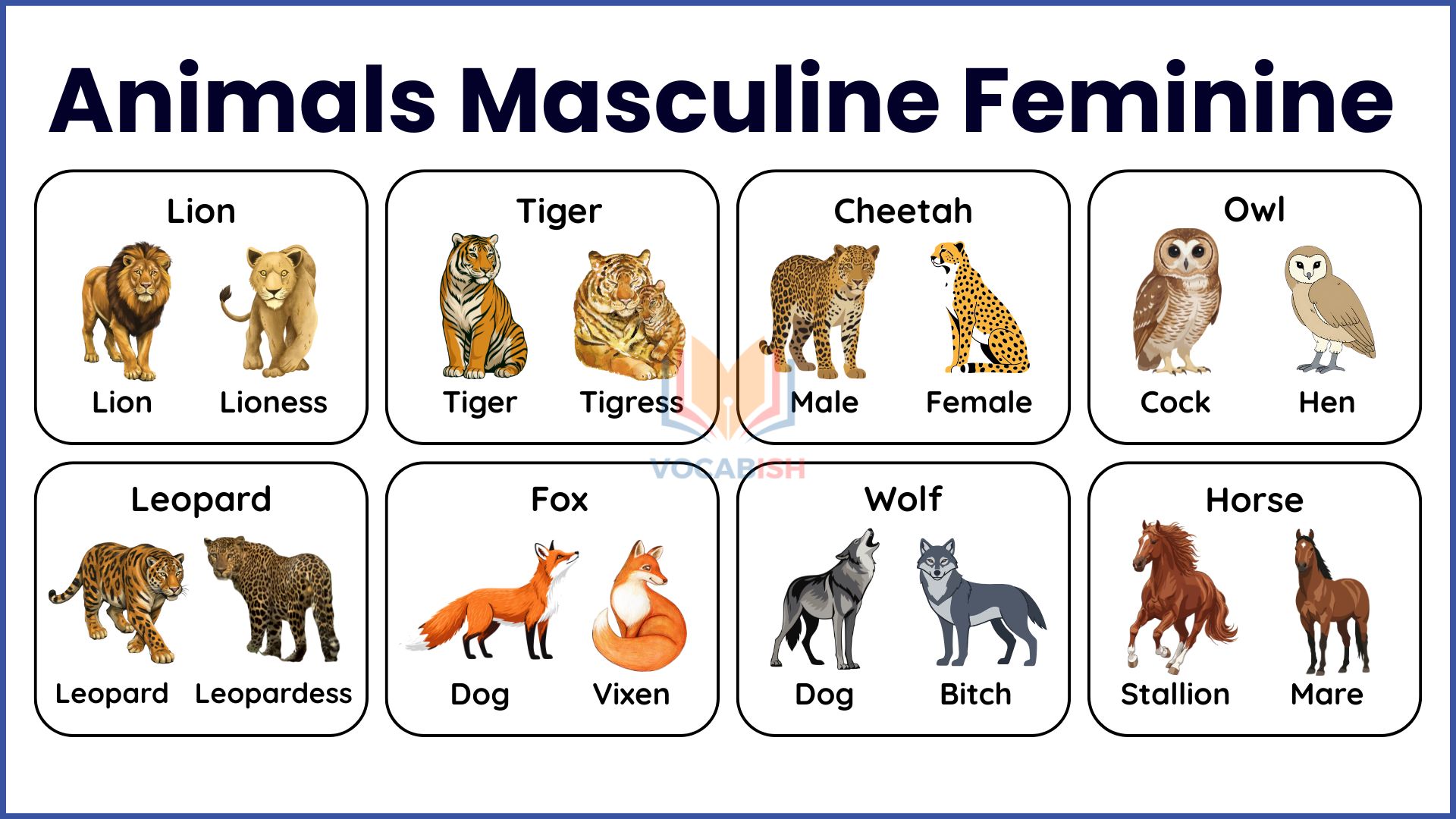 Male and Female Animals Name in English with Pictures