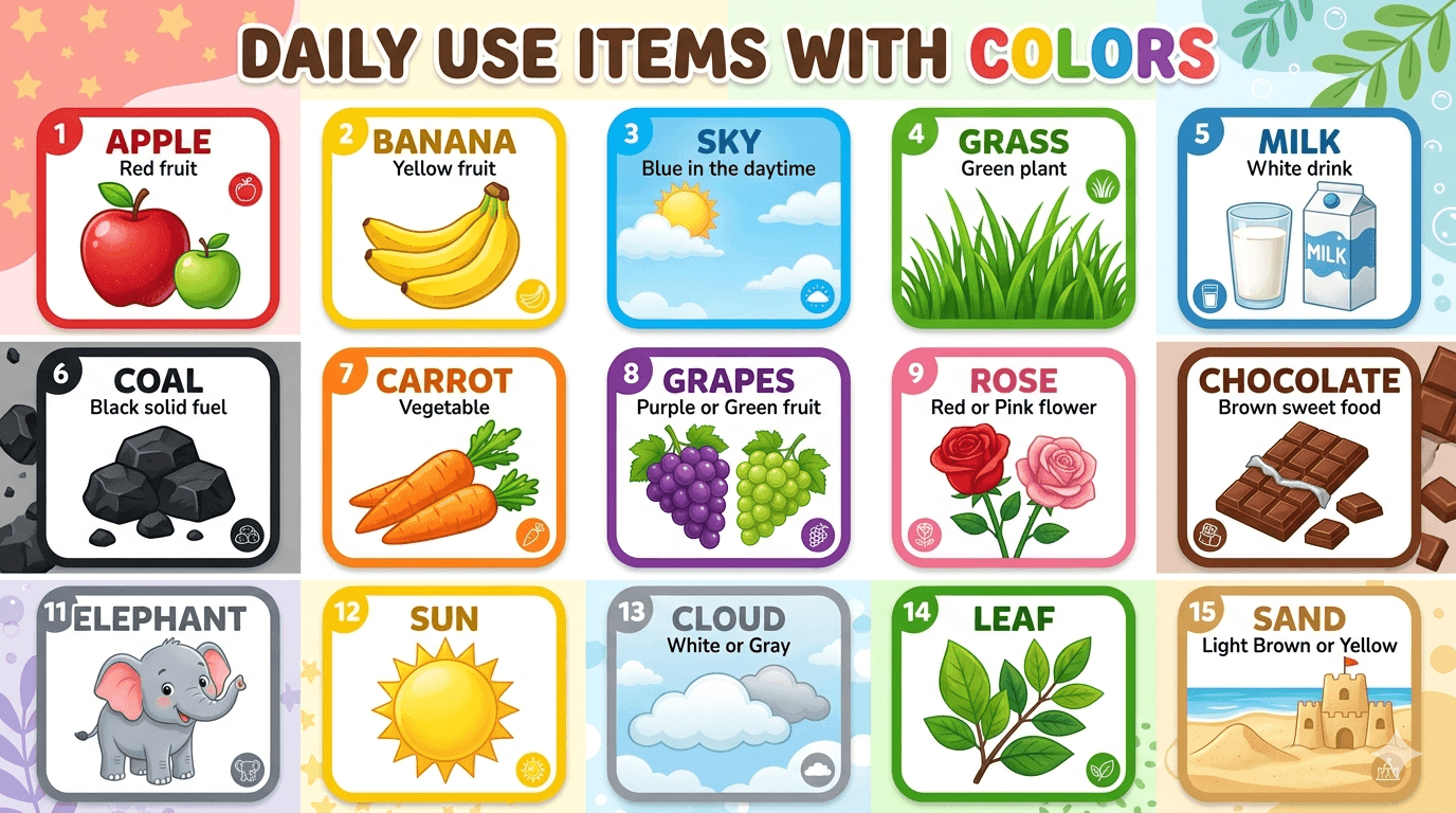 Daily Use Items with Color