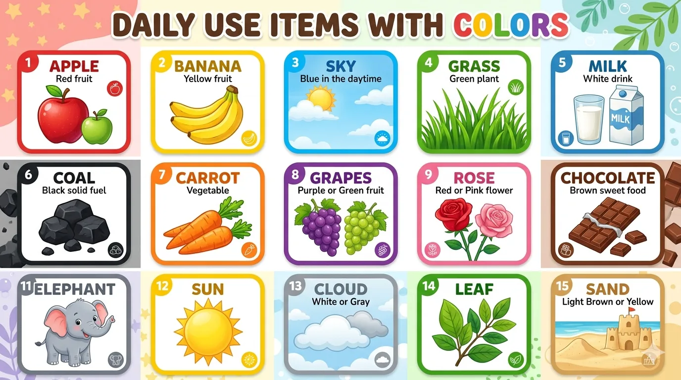 Daily Use Items with Color