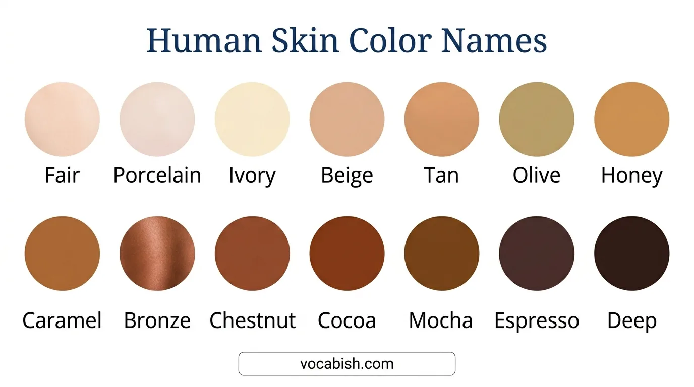 Human Skin Color Names: Learn Shades and Uses with Chart
