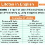 Litotes Definition and Examples