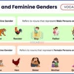 Masculine and Feminine Genders Meaning and Examples