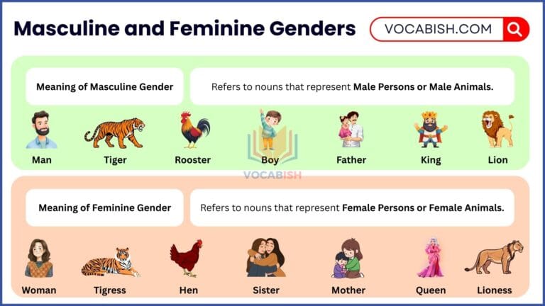 Masculine and Feminine Genders Meaning and Examples