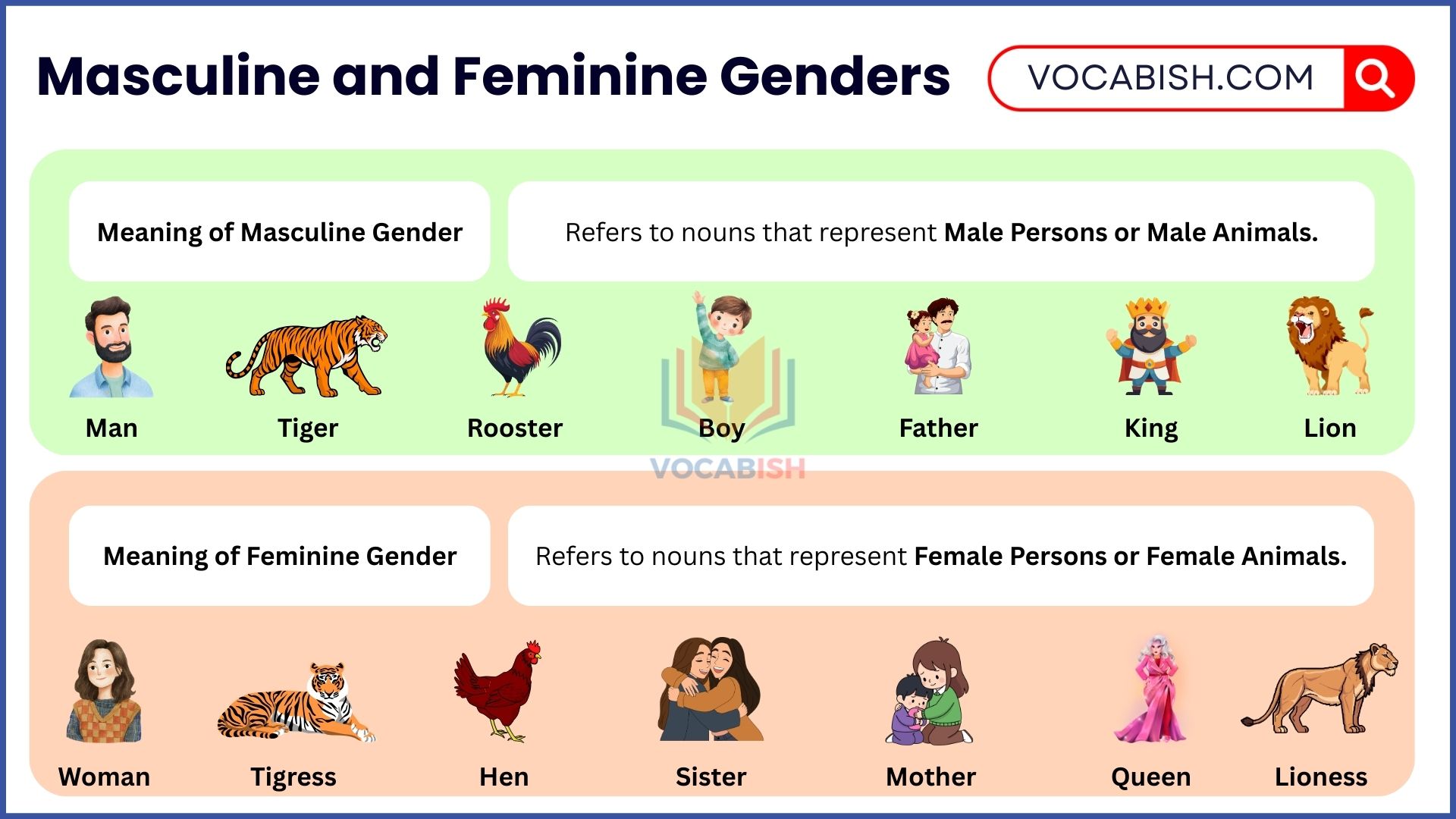 Masculine and Feminine Genders: Meaning, Rules, and Examples