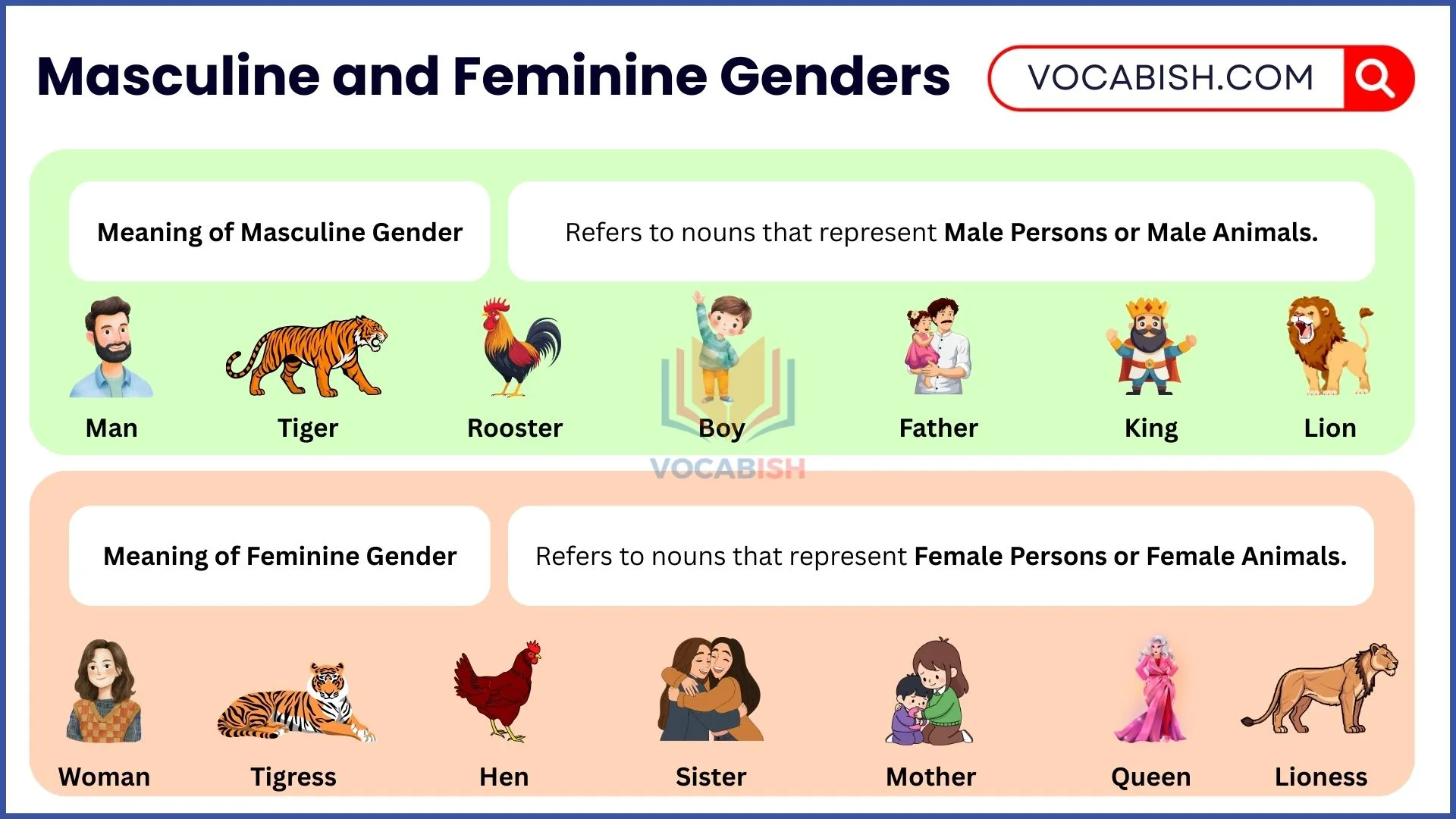 Masculine and Feminine Genders Meaning and Examples