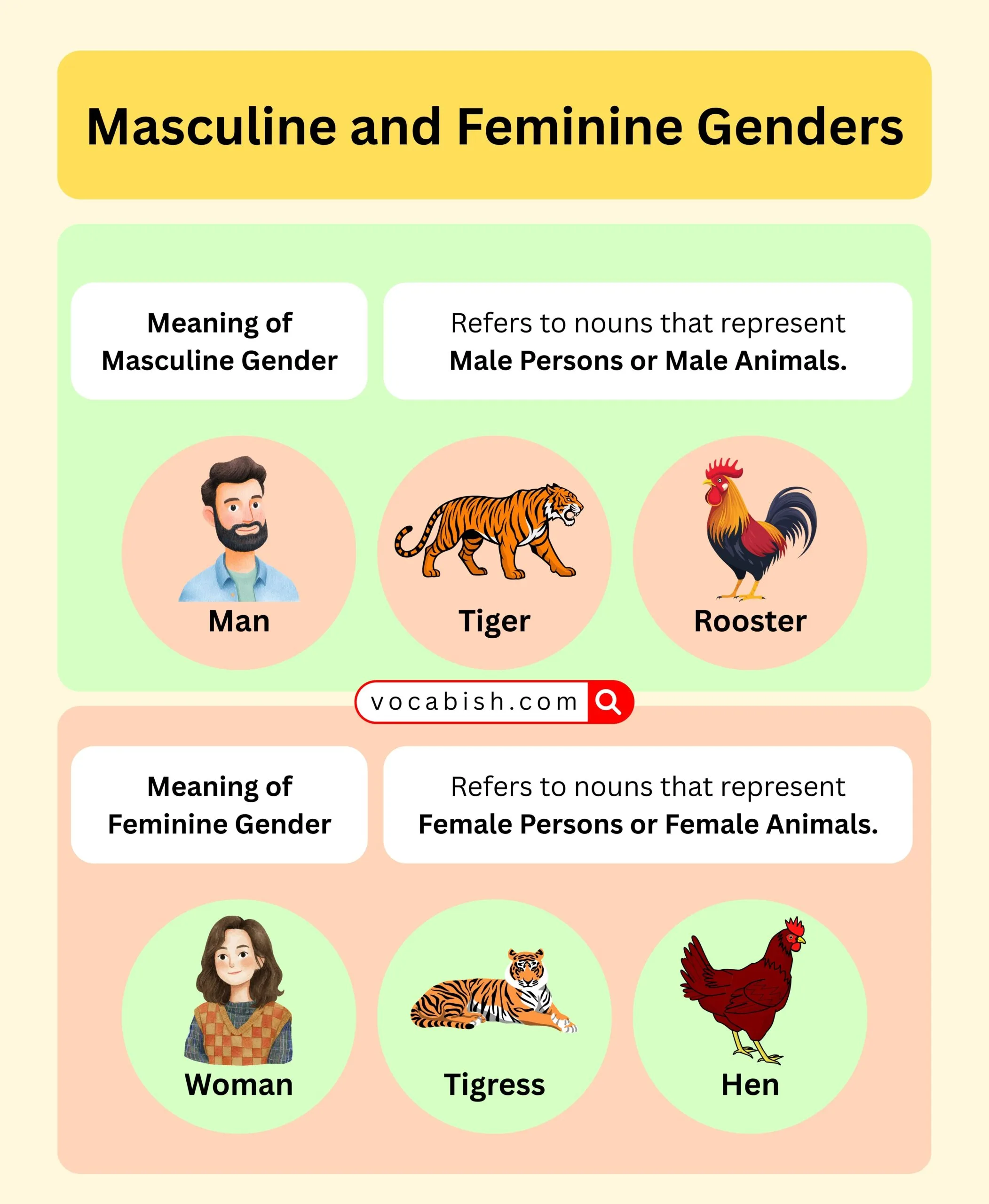 Masculine and Feminine Genders Meaning and Examples