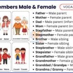 Masculine and Feminine of Family