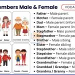 Masculine and Feminine of Family