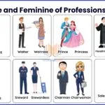 Masculine and Feminine of Professions