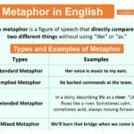 Metaphor Definition and Examples