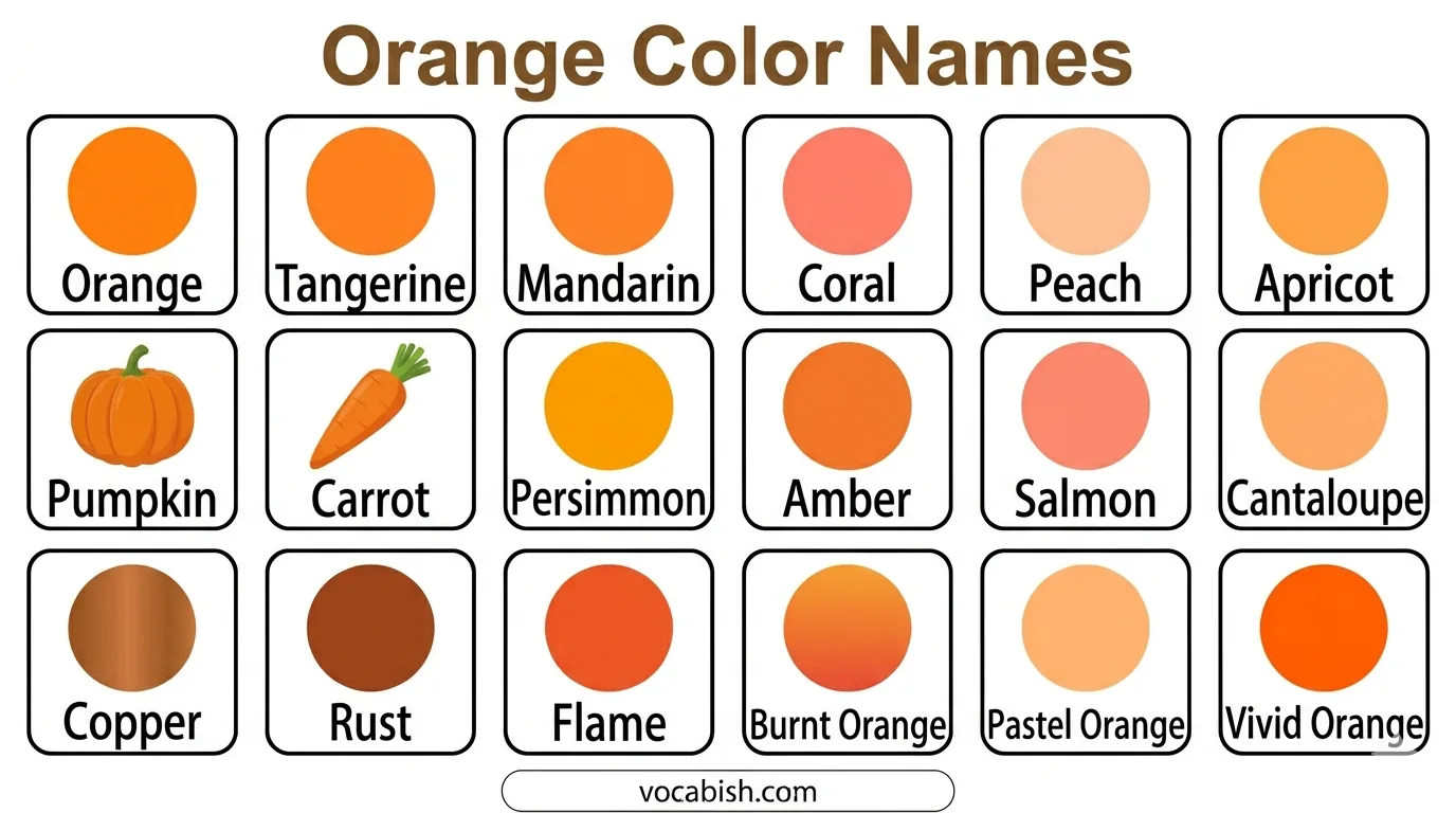 Orange Color Names with Uses, Shades, and Color Codes
