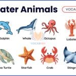 Types of Saltwater Animals