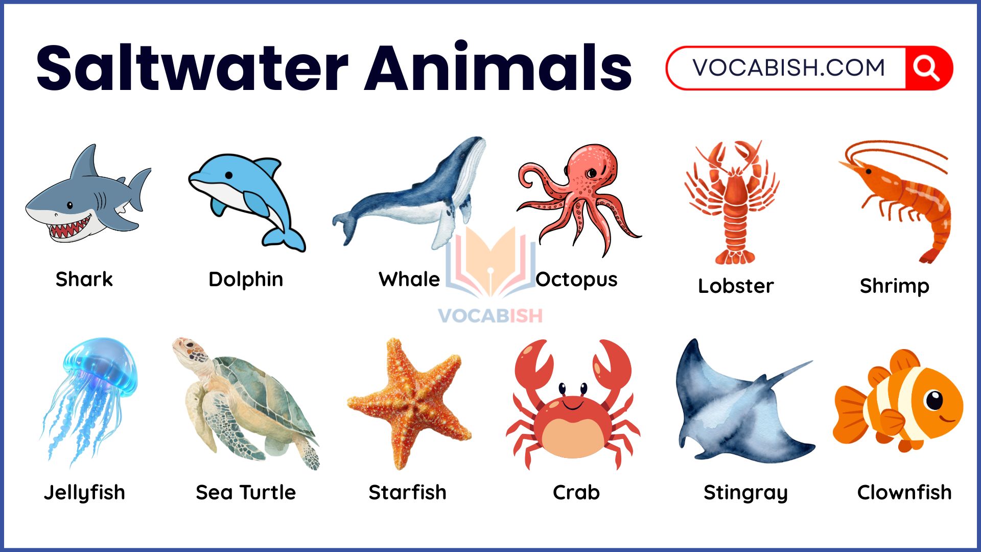 Types of Saltwater Animals with Names and Pictures